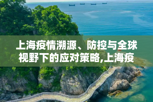 上海疫情溯源、防控与全球视野下的应对策略,上海疫情溯源、防控与全球视野