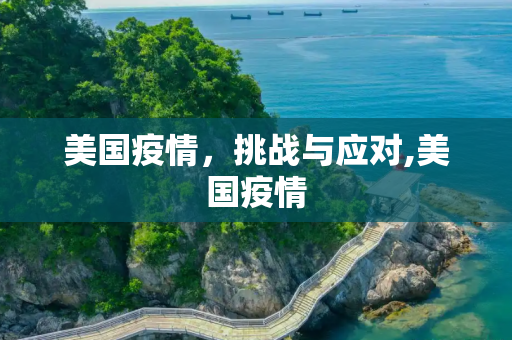 美国疫情，挑战与应对,美国疫情