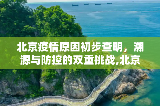 北京疫情原因初步查明，溯源与防控的双重挑战,北京疫情原因初步查明