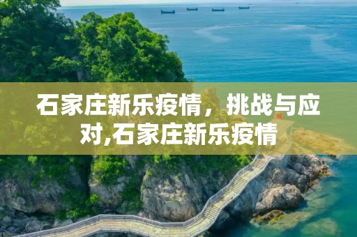 石家庄新乐疫情，挑战与应对,石家庄新乐疫情