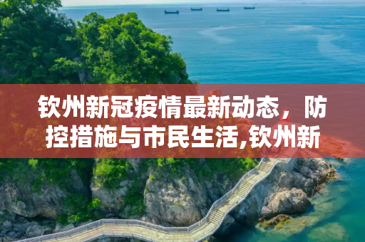 钦州新冠疫情最新动态，防控措施与市民生活,钦州新冠疫情最新消息