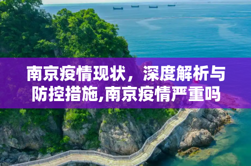 南京疫情现状，深度解析与防控措施,南京疫情严重吗