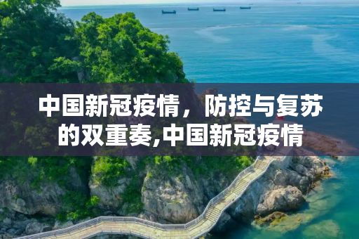 中国新冠疫情，防控与复苏的双重奏,中国新冠疫情